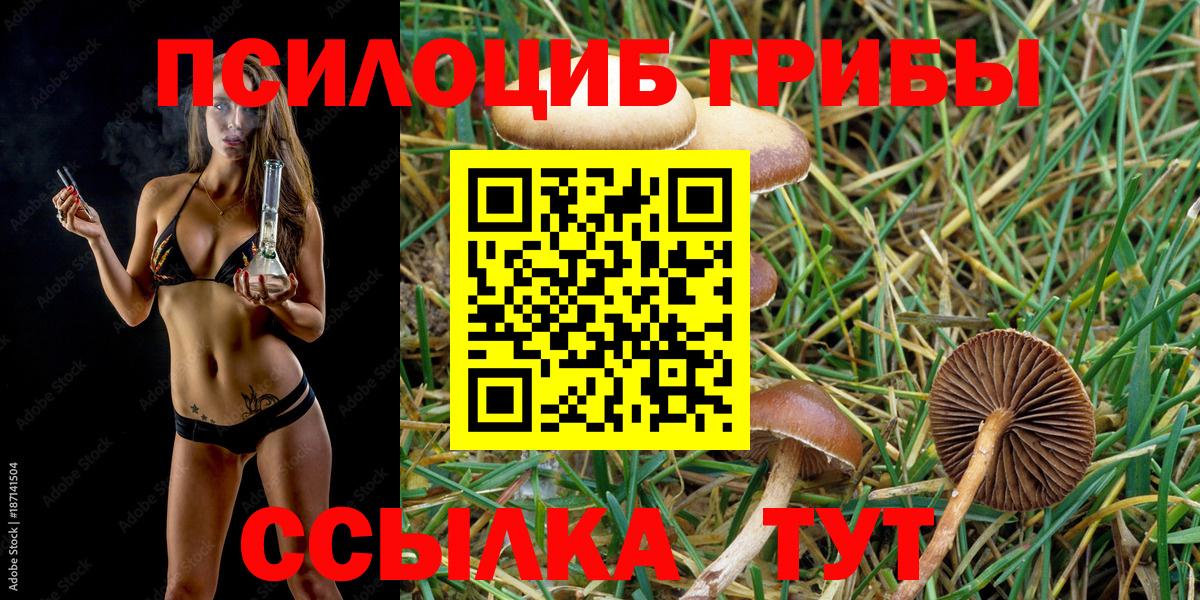 Галлюциногенные грибы Magic Shrooms  Вход с VPN  Ефремов 